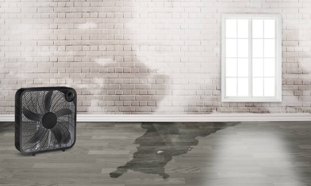 Local water damage restoration in IN