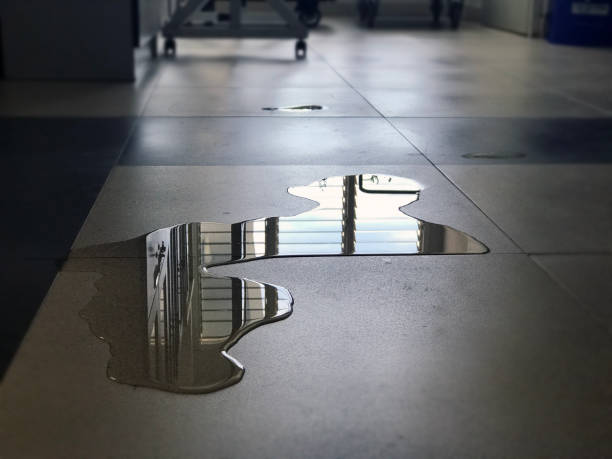 Best Water damage cleanup near me  in Porter, IN