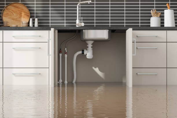 Best Water damage restoration specialists  in Porter, IN
