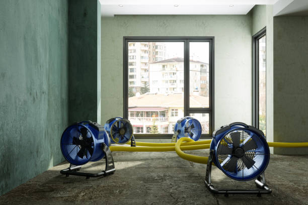 Reliable IN Water damage restoration Solutions